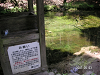 s_PICT0105_thumb.png